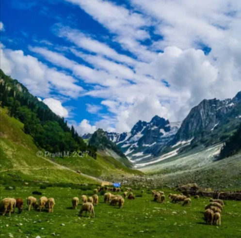 Exotic Delights of Kashmir