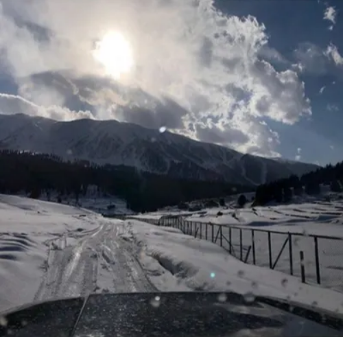 Exotic Delights of Kashmir