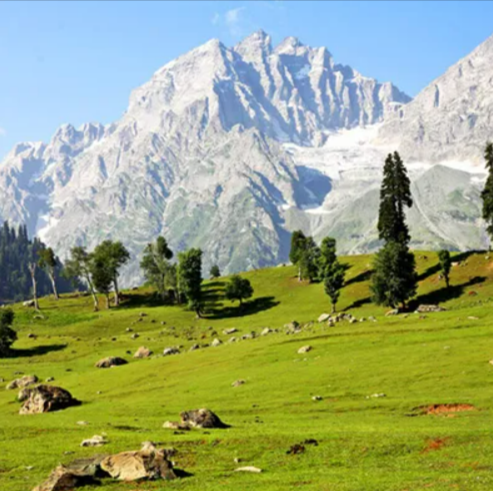 Exotic Delights of Kashmir