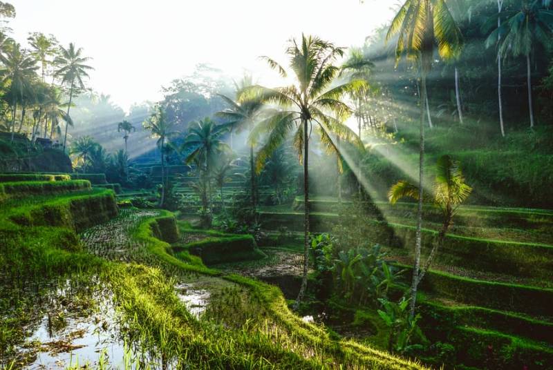 4 Nights 5 Days Bali travel package for a couple