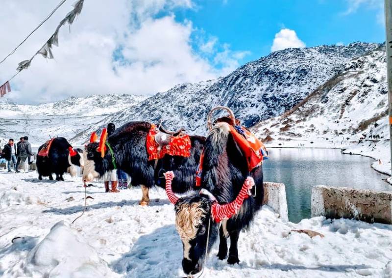 Sikkim Tours Package 4 Days 3 Nights