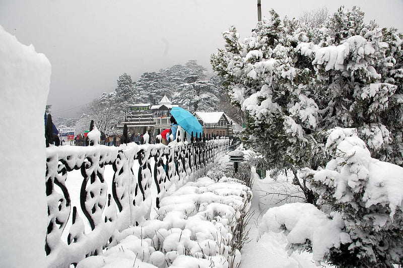 Himachal Harmony From Chandigarh (by Car)