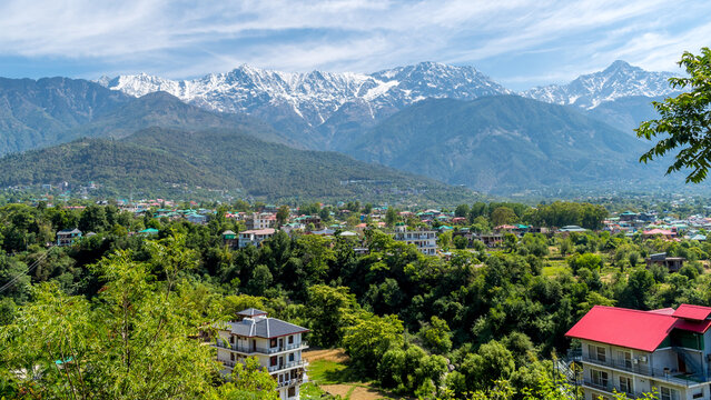 Exciting Dharamshala Tour by tempo traveller)