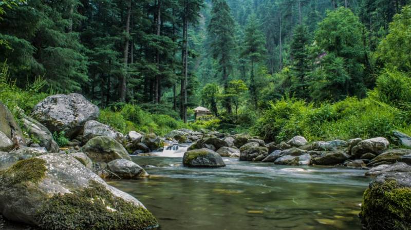 Jibhi - Tirthan Valley Trek Tour Package
