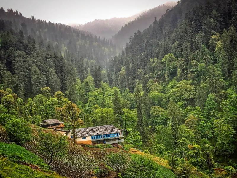 Jibhi - Tirthan Valley Trek Tour Package