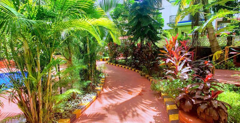 Goa Monsoon Trip  with Flight