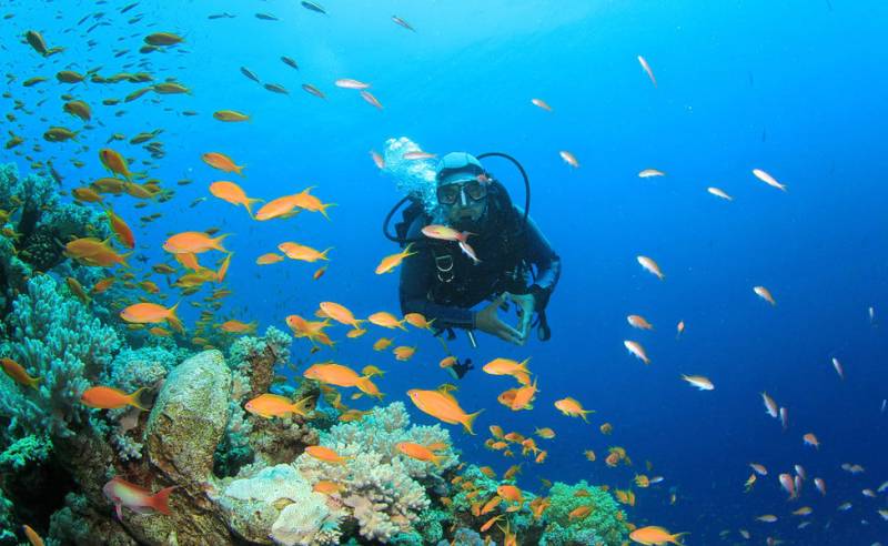 Goa Monsoon Trip  with Flight