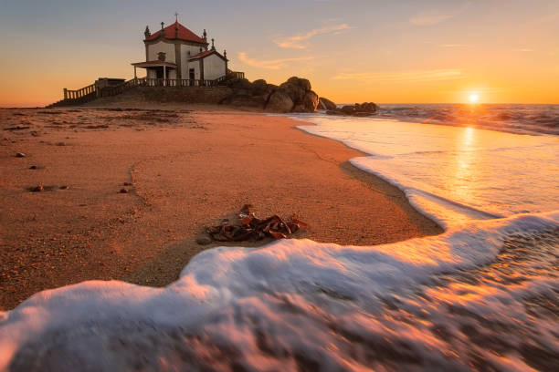 GOA TO GOA - AUGUST SEPTEMBER 2023