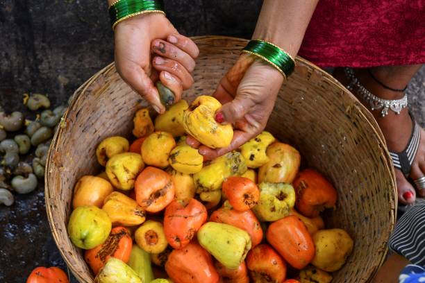 GOA TO GOA - AUGUST SEPTEMBER 2023