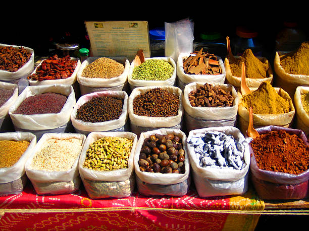 GOA TO GOA - AUGUST SEPTEMBER 2023