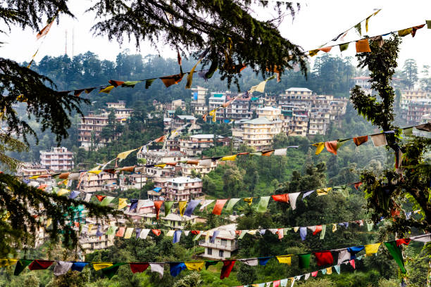 Dalhousie Dharamshala Mcleodganj Tour Package
