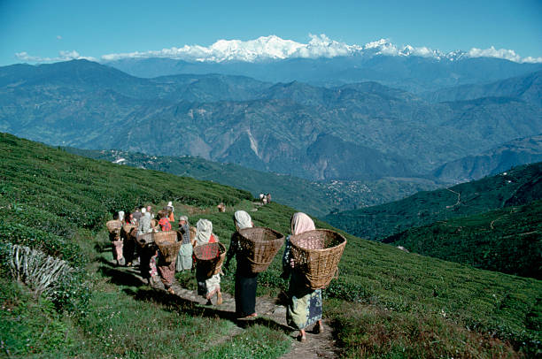 6 Nights - 7 Days Sikkim Tour