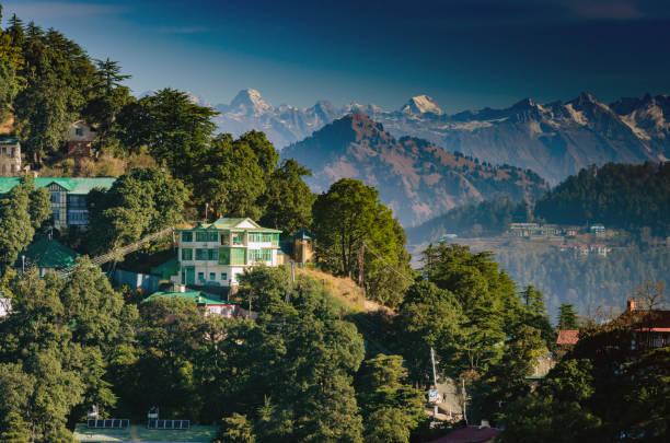 Dharamshala Mcleodganj Triund Trek Package