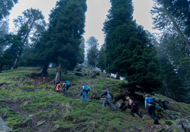 Dharamshala Mcleodganj Triund Trek Package