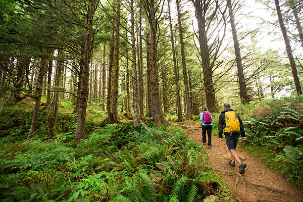 Dharamshala Mcleodganj Triund Trek Package