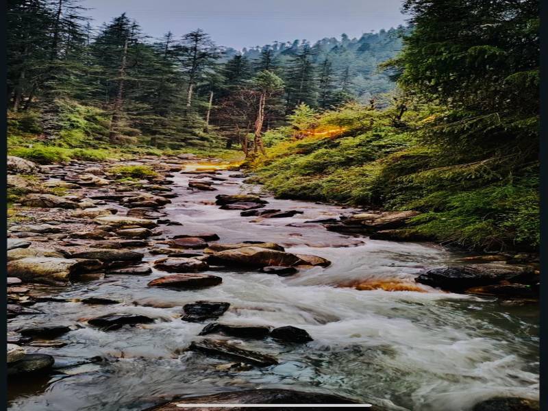 Manali Solang Valley & Kasol Tour Package