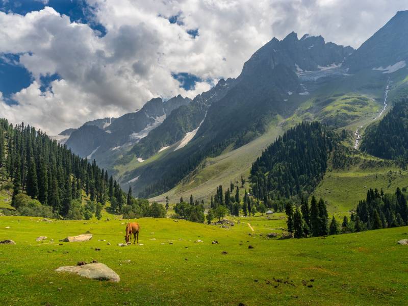 HONERMOON IN KASHMIR HEAVEN ON THE EARTH - MAY JUNE 2024