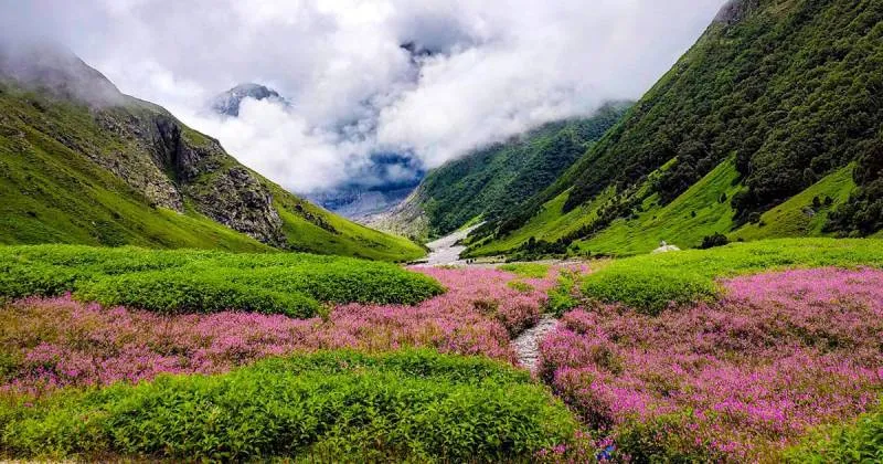 Valley of Flowers with Hemkund Sahib 2024