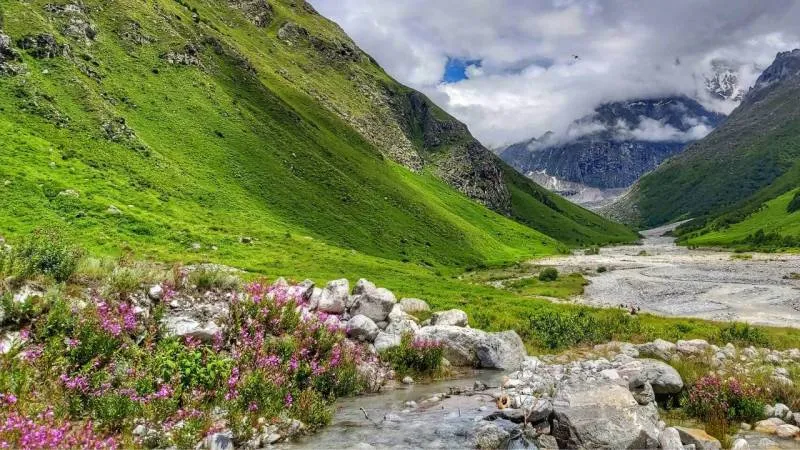 Valley of Flowers with Hemkund Sahib 2024