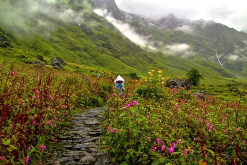 Valley of Flowers with Hemkund Sahib 2024