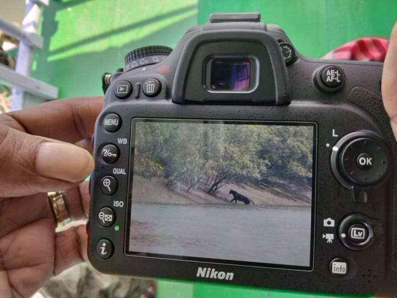 Kolkata To Sunderban  2Night - 3Days