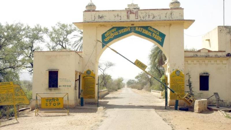 2 Night 3 Days Delhi to Sariska to Delhi