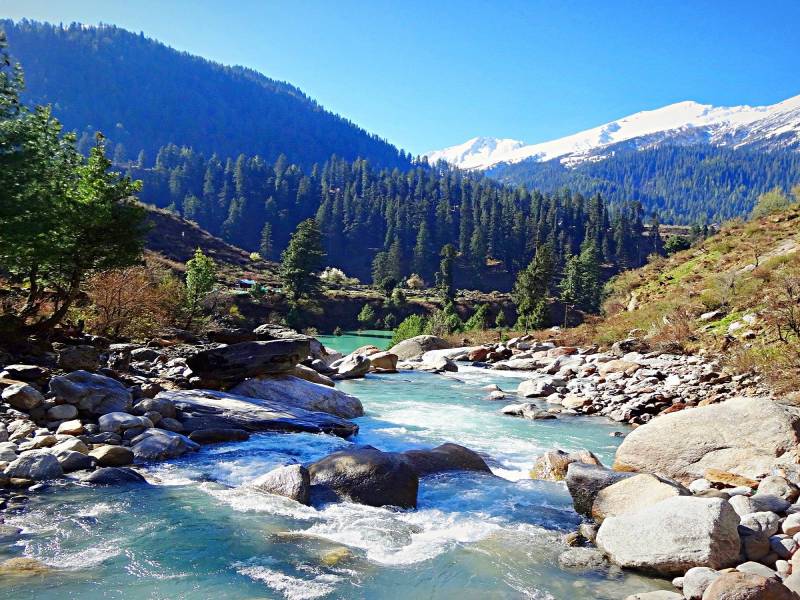 Manali-Kasol-Shimla Tour