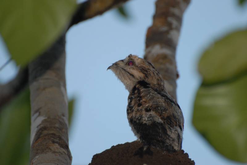 4 Days 3 Nights in the Amazon Rain Forest