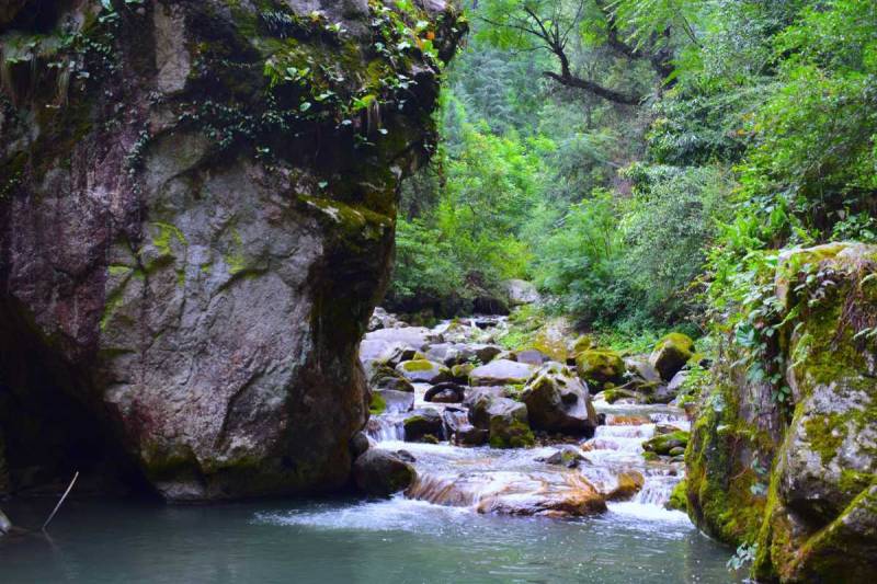 Jibhi - Tirthan Valley - Shoja - Jalori Pass 4 Days Tours From Chandigarh