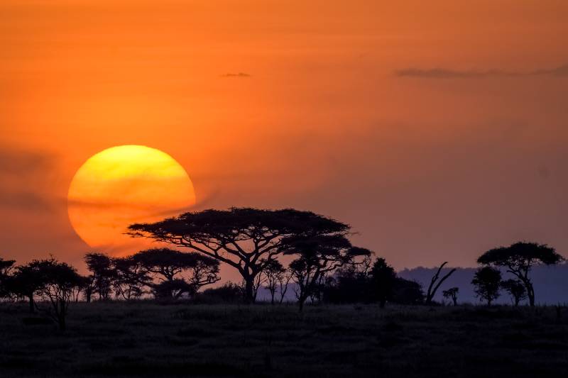 Tanzania Best Value Joing Safari Adventure – Tarangire Lake Manyara Serengeti Ngorongoro Crater