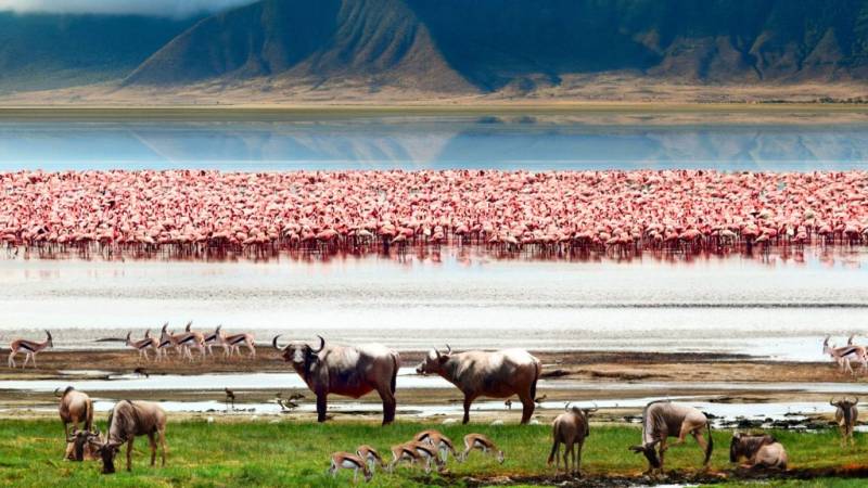 Tanzania Best Value Joing Safari Adventure – Tarangire Lake Manyara Serengeti Ngorongoro Crater
