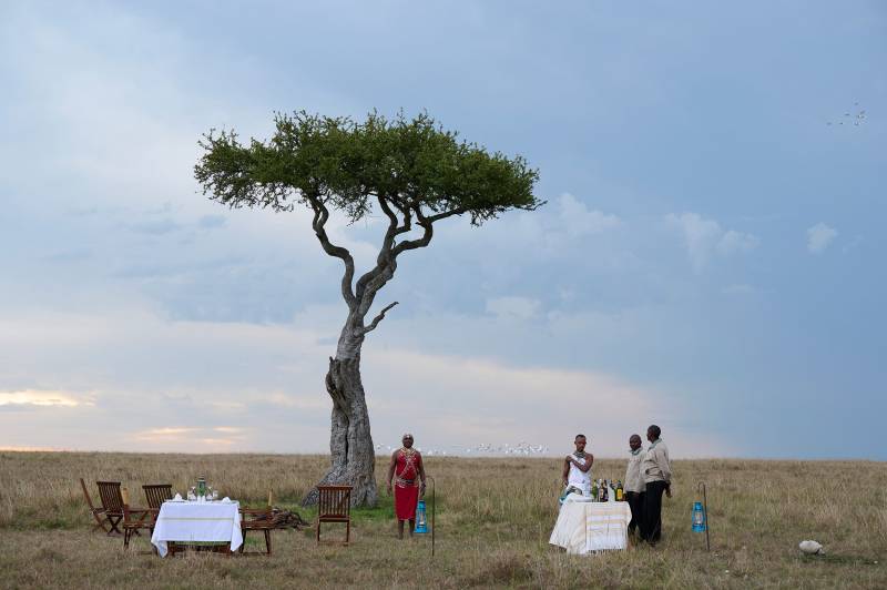 6 Days Honeymoon Kenyan Safari- Lovebirds Runaway Wild Experience