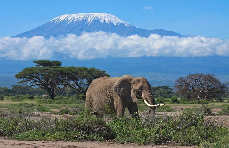 3 Days 2 Nights Amboseli And Tsavo West Safari Tour Image