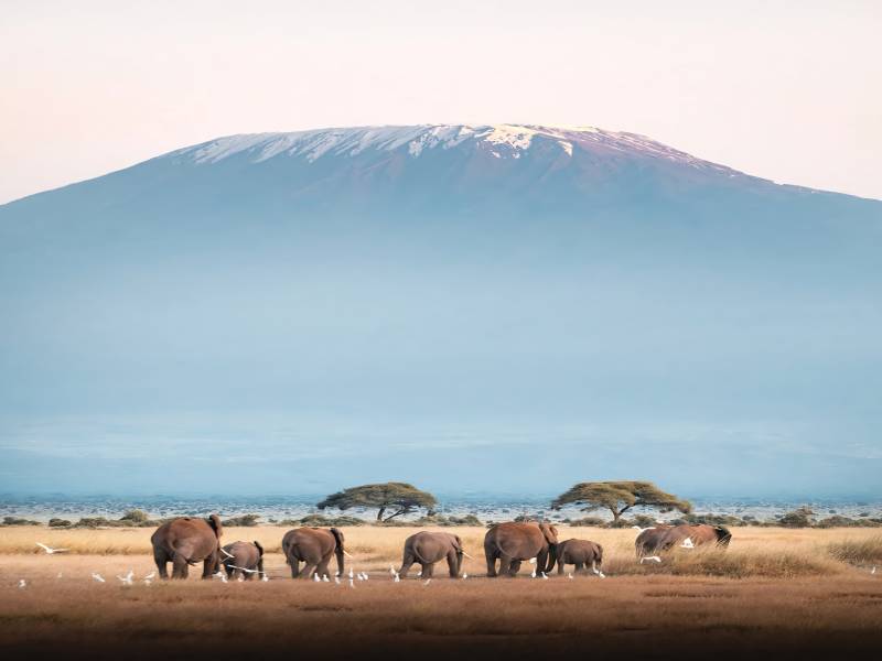 3 Days 2 Nights Amboseli And Tsavo West Safari Tour