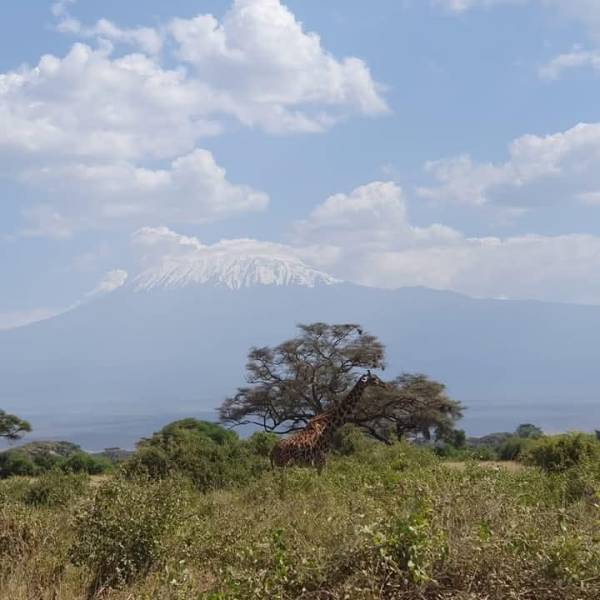 3 Days 2 Nights Amboseli And Tsavo West Safari Tour