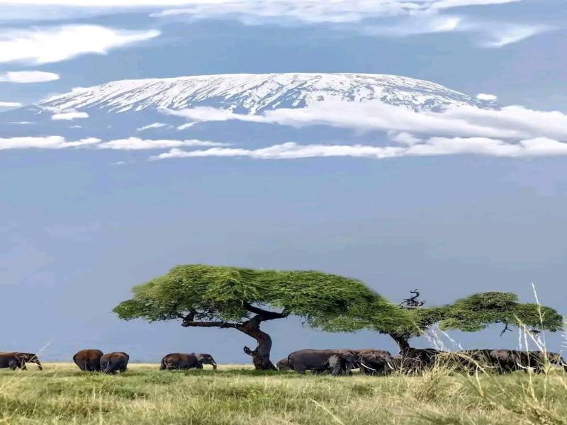 3 Days 2 Nights Amboseli And Tsavo West Safari Tour