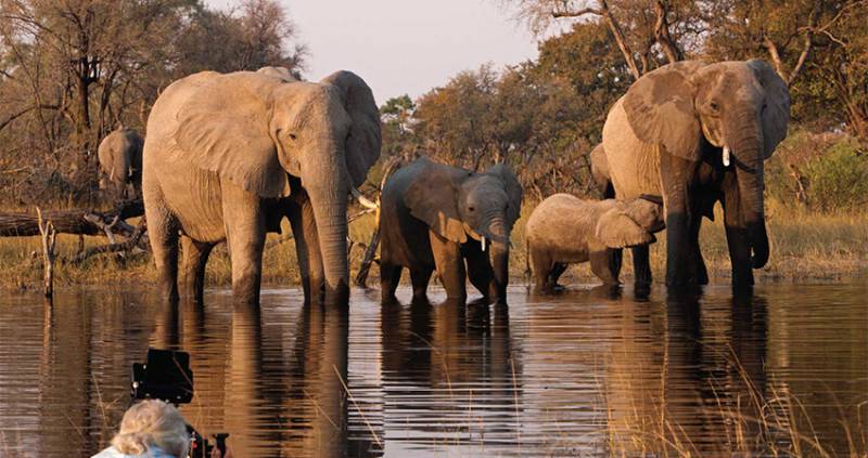 6 Days 5 Nights Northern Circuit Safari Tour
