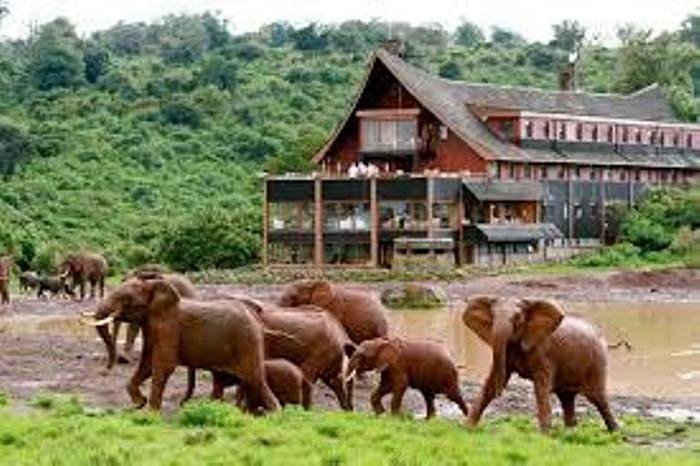 6 Days Wonderful Kenya Tour - Nairobi-Aberdare-Lake Naivasha-Masai Mara Image