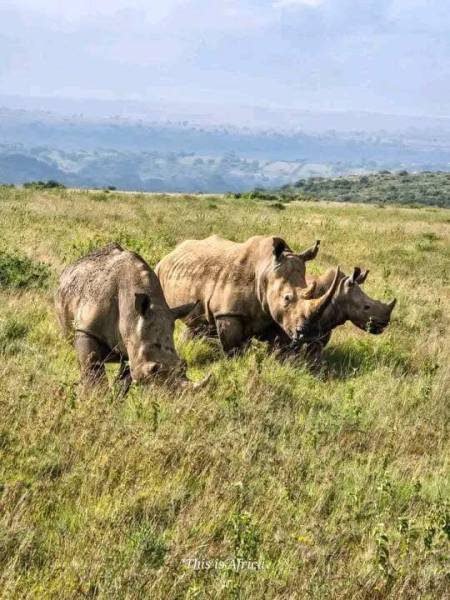 8 Days Kenya Exotic Safari Tour From Nairobi
