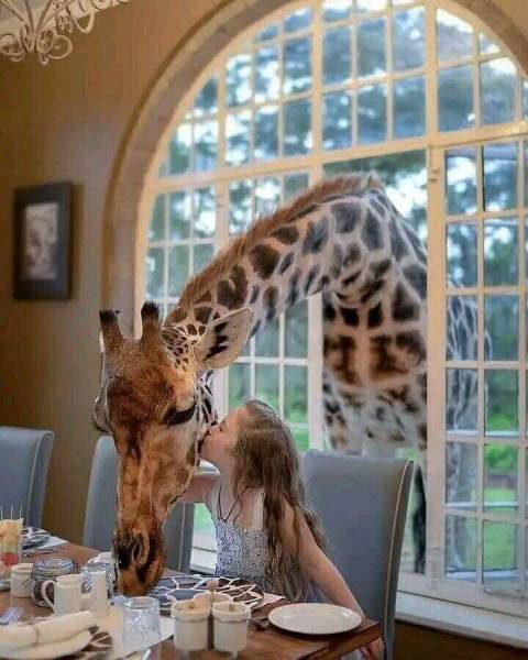 7 Days 6 Nights Beach - Safari Package