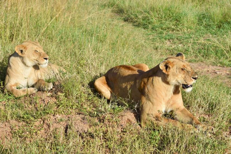 14 Days Wonderful Kenya Safari And Beach Tour - Option 2