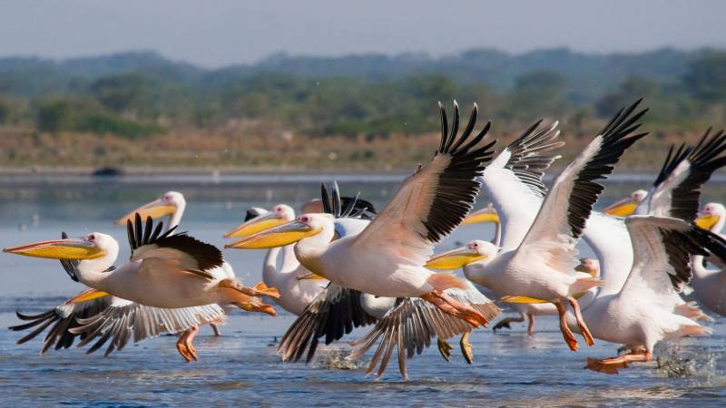 14 Days 13 Nights Beach - Safari Package