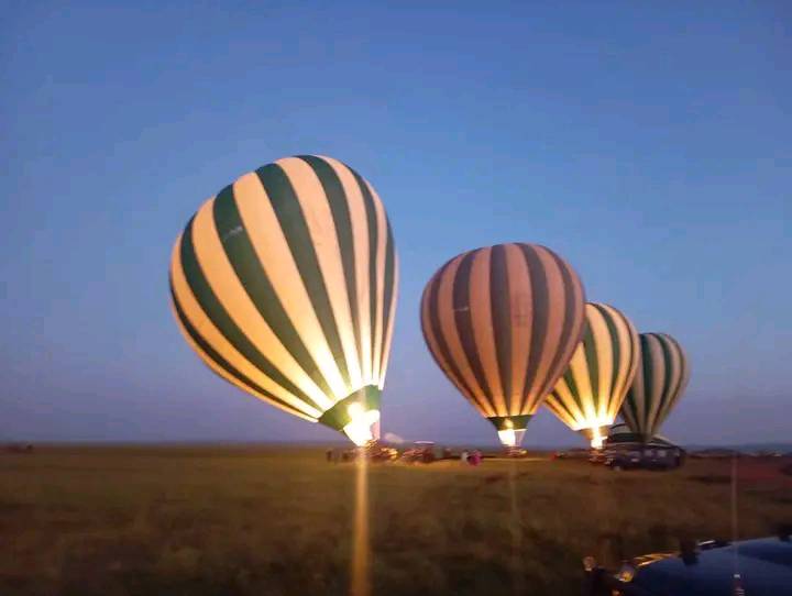 14-Day High-End Honeymoon Safari Tour