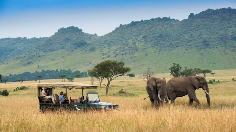 Discover 14 Days Best Value Safari In Kenya Tour
