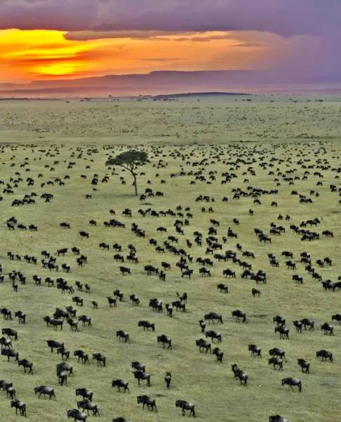 6 Days 5 Nights Wonderful Kenya Tour - Option 1