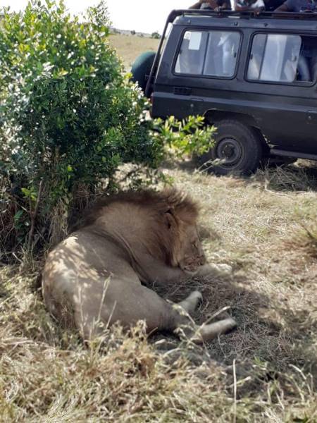 6 Days 5 Nights Wonderful Kenya Tour - Option 1