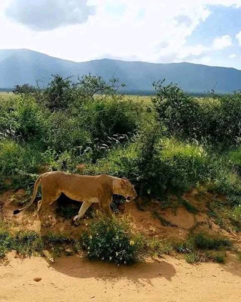 6 Days 5 Nights Wonderful Kenya Tour - Option 1