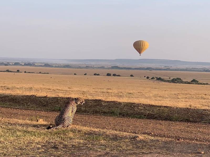 14 Days Kenya Safari Marathon Tour