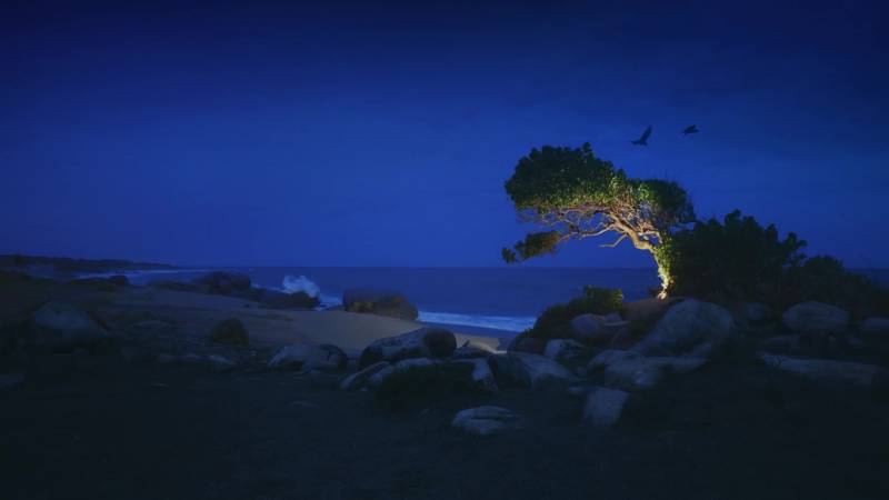 Sri Lanka Crazy Deal