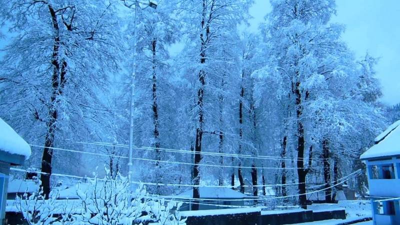 Super Saver Manali Volvo Tour